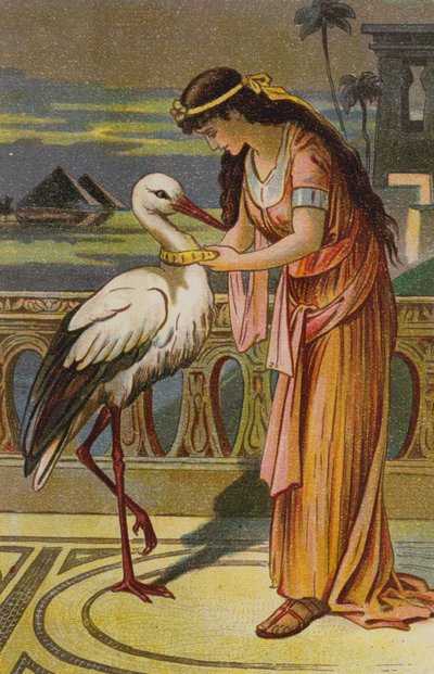 La fille du roi des marais - European School